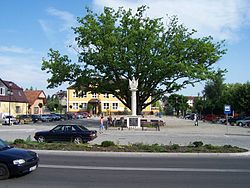 Market square