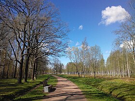 Аллея Крайняя дорога в Баболовском парке