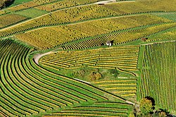 Luftbild vom von einem Weinberg im Markgräflerland (von Wladyslaw)