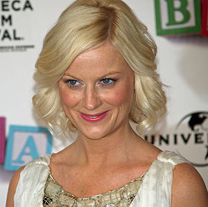 Amy Poehler at the premiere of Baby Mama in Ne...