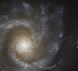 NGC 3631