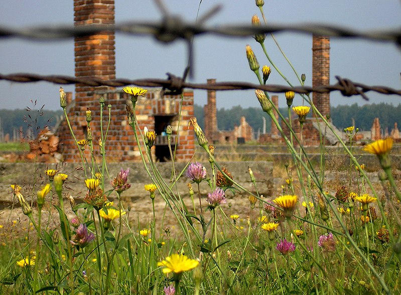 File:Auschwitz-Birkenau abgebrannte Barracken.jpg