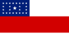 Bandeira do Amazonas.svg