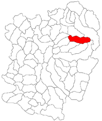 Bolvașnița – Mappa