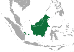 Distribución del lori de Borneo antes de su división en 4 especies en el 2013.