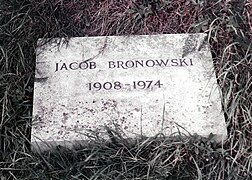 Jacob Bronowski