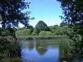 Brownshore Lakes in Essington, Staffordshire on a Summers Day