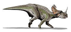 Description de l'image Centrosaurus BW.jpg.