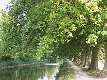 Photo du Canal d'Orléans à Chécy