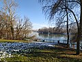 Veduta confluenza tra il Po e la Stura da un belvedere del Parco