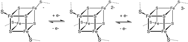 Easiness of electron flow in a cluster provides catalytic effect of a respective enzyme. FdRedox.png