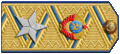 国家安全总委员肩章（1943年-1945年）