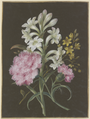 Gesteck aus Tuberose (Polyanthes), rosa Nelke (Dianthus) und gelber Blume mit Fliege