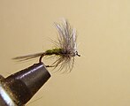 Green Drake Dry Fly