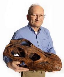 Das Foto zeigt Hans Sues mit einem Abguss eines rekonstruierten Brontosaurierschädels im Smithsonian.