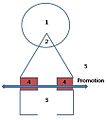 Hình xem trước của phiên bản lúc 03:07, ngày 24 tháng 1 năm 2008