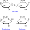 Gambar kenit bagi versi pada 12:47, 8 Jun 2009