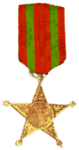 Medalha feridos em campanha.png