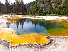 Archaea that grow in the hot water of the Morning Glory Hot Spring in Yellowstone National Park produce a bright colour Morning-Glory Hotspring.jpg