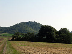 Quellgebiet des Moorseebachs vor dem Schlossberg