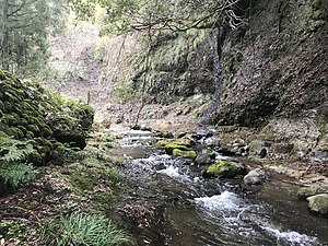 小佐波川中流