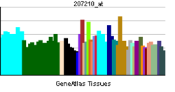 PBB GE GABRA3 207210 at tn.png