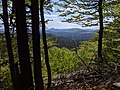 výhled z lesní světliny na Lužické hory