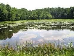 The Patuxent Wildlife Research Center Patuxent preserve outside.jpg