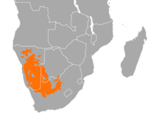 Philetairus socius distribution map.png