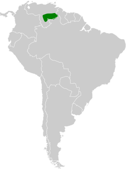 Distribución geográfica del orejerito frentinegro.