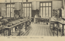 Men and woman working in a classroom at the Institut Pasteur in Paris, c. 1920 Postcard - Institut Pasteur - Salle des Cours 2000 001 085 g158bh40z.tiff