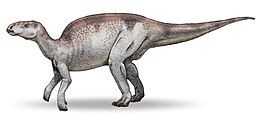 A Probactrosaurus rekonstrukciója