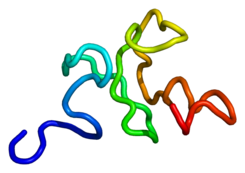 Protein CHD4 PDB 1mm2.png