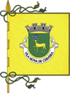 Flag of Vila Nova de Cerveira