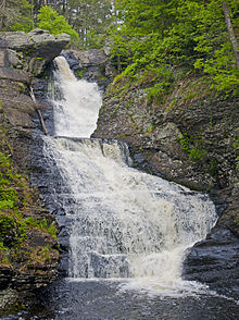 A waterfall through a stony chute in a wooded area with evergreen trees under a cloudy sky