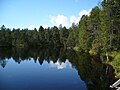 Great Moss Lake at Rejvíz