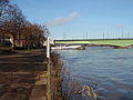 Rheinhochwasser 10.1.2011