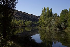 Río Duero y bosque galería en Soria (España)