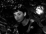 Miniatura per Sabrina (pel·lícula de 1954)