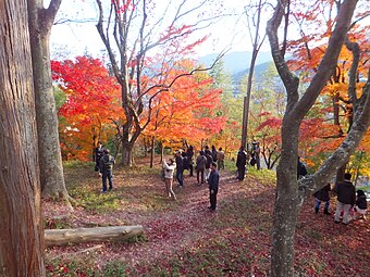 最上山公園