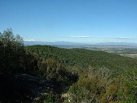 Serra de Cals.jpg