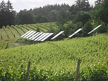 Sustainable agriculture combined with renewable energy generation Solar panels in Oregon vineyard.jpg