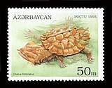 Бахромчатая черепаха на азербайджанской марке