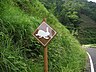 動物の飛び出しに注意の道路標識