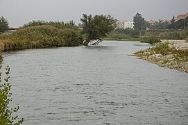 The Têt river in Perpignan