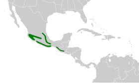 Distribución geográfica del vireón pechicastaño.