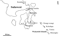 Wakatobi islands in relation to the Sulawesi mainland, with major cities marked