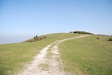 A trackway passing from the viewer up and over a hill ahead