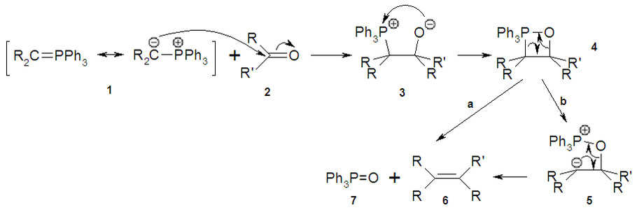 מנגנון תגובת ויטיג כולל התקפה נוקלאופילית של הקרבאניון (של מגיב ויטיג שהוכן מראש) על הפחמן האלקטרופילי הקרבונילי, וחיבור אטום החמצן השלילי לאטום הזרחן החיובי. כתוצאה מכך נוצר חומר ביניים בעל מבנה של טבעת מרובעת, המתפרק בדרך אחרת מזו שבה הוא נוצר, לטריאלקיל פוספין אוקסיד (הקשר O=P הוא יציב מאוד ומהווה את המניע התרמודינמי להתרחשות התגובה). בתגובה זו מתקבל כאמור, קשר C=C בתוצר.