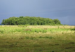 Strandängarna.